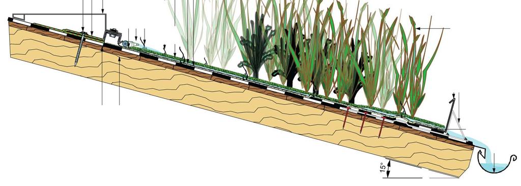 4.1. Potentieller Einsatz eines Sumpfpflanzendachs Auch Dachflächen, z.b. von Stallungen, können in Zukunft zur Oberflächenwasserreinigung genutzt werden.