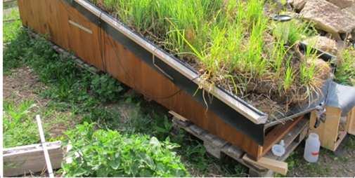 Grauwasserreinigung mit einer Sumpfpflanzenmatte unter Praxisbedingungen (Andreas