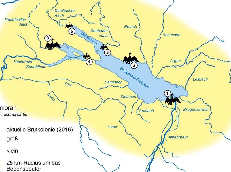 Kormorankolonien am Bodensee Quelle: V.