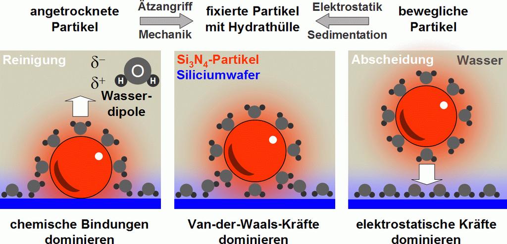 3 Reinigungsverfahren in der Mikroelektronik Abbildung 3.10: Dominierende Kräfte für verschiedene Abstände eines Partikels zu einem Substrat 3.