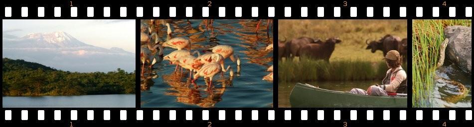 Vielleicht entdeckt ihr in der Ferne ein Flusspferd im Wasser, haltet inne und beobachtet es leise. Mit dem Kanu die Momella Seen erkunden ist eines der Highlights im Rahmen der Hatari-Safaris.