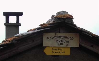 Ende Juli fand wieder einmal das Hüttenwochenende für Schüler und Jugendliche auf der Bühlertaler Hütte statt. Vom Skiclub waren 3 Teilnehmer dabei. Spannend war vor allem das Downhill-Biketraining.