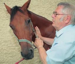16 5 Erstellen der Diagnose Halswirbelsäule Beweglichkeit des Halses (seitenvergleichend) Der Hals des Pferdes wird langsam nach beiden Seiten bewegt. Auf welche Seite geht es besser?