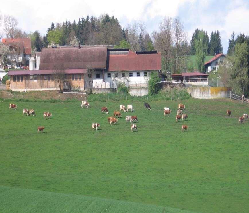 Vielen Dank für ihre Aufmerksamkeit LfL-Jahrestagung