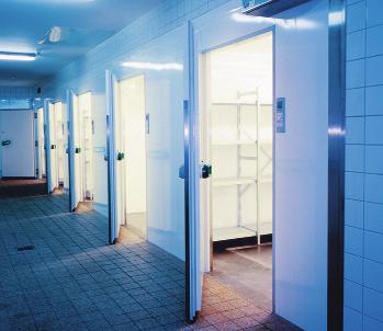 Moderne Kühl- und Tiefkühlzellen zur Lagerung der verschiedensten Kühlgüter werden fast immer in Paneelbauweise errichtet und überzeugen