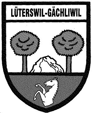 Protokoll der Rechnungsgemeindeversammlung der Einwohnergemeinde Lüterswil-Gächliwil Mittwoch, 15.