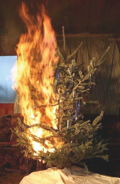 Jahresbericht 2014 Zivilschutz Verhinderung von Christbaumbränden In der Advent- und Weihnachtszeit ist die Zahl der Wohnungsbrände stark ansteigend.