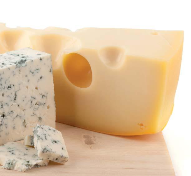 Willkommen im DLG-Käse-Guide 2011! 5 Käsemärkten, Hofbesichtungen oder Veranstaltungsreihen teilnehmen. Interessante Angebote gibt es auch für Jugendliche.