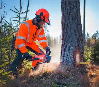 Steckbrief Wirtschaft Schwedens Naturreichtümer sind seine Wälder, die 50 % des Landes bedecken, Wasserkraft und Eisenerz.