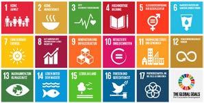 an verschiedenen Themen einer nachhaltigen Entwicklung arbeiten (Klimaschutz, Ernährung, Mobilität, Wohnen, Inklusion, Menschenrechte, Migration usw.).