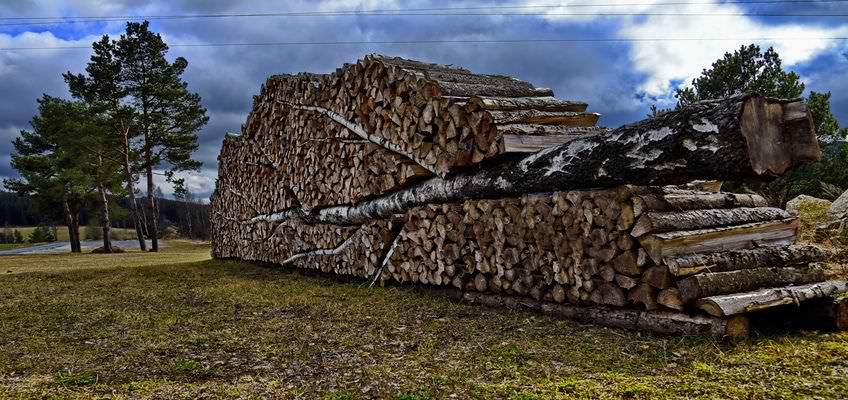 Wärmeversorgung von Wohnsiedlungen mit Biomasse (Holz