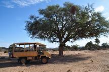 Nun starten Sie zu Ihrer Rundreise durch die Weiten Namibias. Sie fahren über die Auasberge via Rehoboth in die Kalahariwüste, die sich über einen Großteil des östlichen Namibias erstreckt.
