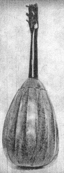 im Verhältnis zu Breite und Länge deutliche Tiefe der Muschel (15,8 cm) und vor allem die sehr hohe Position des Schallloches mit der vom Nürnberger Geigen- und Lautenmacher (und Werkstatt-Vorgänger