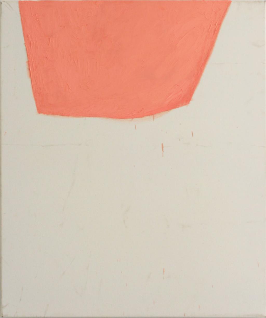 g untitled (form I), 2013 oil on canvas 85x100cm