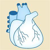 Inhaltsverzeichnis Herztransplantation...3 QI 1 [2157]: Sterblichkeit im Krankenhaus...4 Indikatorengruppe: 30TagesÜberleben...7 QI 2a [12539]: Unbekannter Überlebensstatus 30 Tage postoperativ.