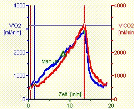 V O 2 und V CO 2 zu Zeit und Watt Panel 3 Beachte: 1.