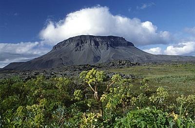 den See Langisjór, das Vulkangebiet der Seen Veiðivötn und die beiden