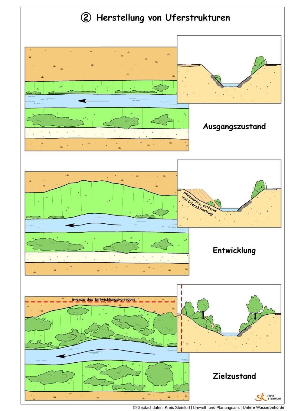 Maßnahmenpaket 2: Herstellung naturnaher Gewässerstrukturen Sicherung eines Entwicklungsstreifens (-korridors) von mindestens 5 m Breite Teilweise Entfernen des Uferverbaus Abschnittsweise