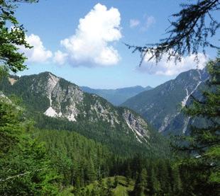 45 km Slowenien: Laibach ca. 100 km Bled ca. 60 km Kranjska Gora ca.