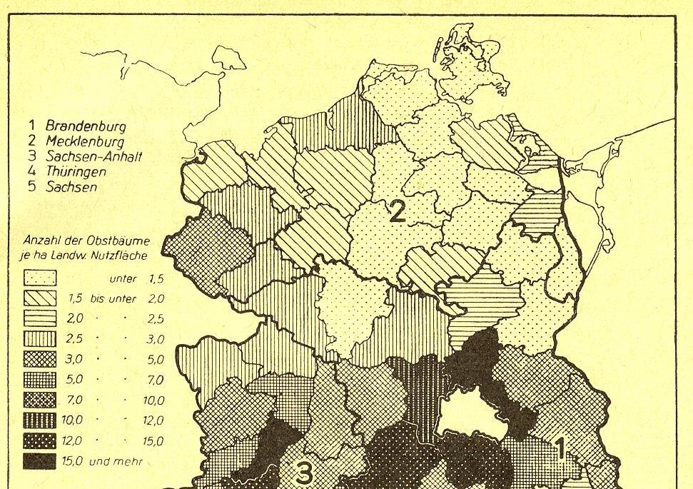 Abb. 1: Anzahl Obstbäume je Hektar landwirtschaftliche Nutzfläche 1949 1952 gab es eine Obstbaumzählung in den damals neu geschaffenen Bezirken.