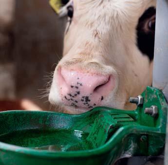 Unterdruck kann z. B. durch Schließen eines Ventils, beim Betrieb von Druckerhöhungspumpen oder bei übermäßiger Wasserentnahme entstehen.