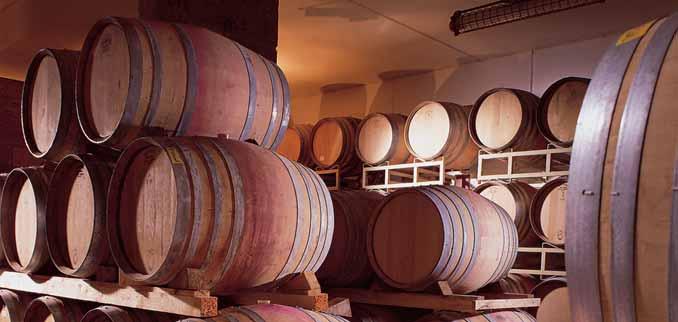 Die Arbeit im Keller soll dem Wein dienen und die im Weinberg gewachsene Qualität erhalten.