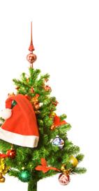 Tipps & Trends Platz für den Tannenbaum schnell ist Weihnachten wieder vorbei. Kaum hatte man den Weihnachtsbaum geschmückt, waren die Geschenke auch schon alle verteilt.