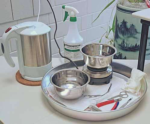 Benötigte Hilfsmittel Mittel zur Sprühdesinfektion der Arbeitsgeräte Kochendes Wasserbad (Schale aus Edelstahl) * Wasserkocher Handschuhe Messer / Skalpell Elektrische Heizplatte * Magilzange /