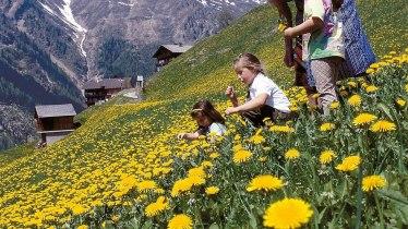 Landhaus Strickenmacher, Privatvermieter Hof 19, 9918 Strassen Osttirol, Österreich Willkommen im Landhaus Strickenmacher!