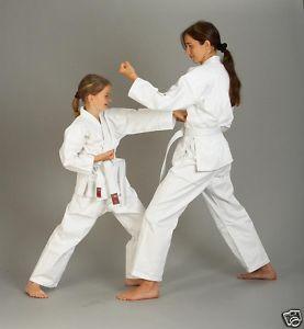 Jahresbericht 2013 der Abteilung Karate 1. Mitglieder 2013: 48 Erwachsene und Kinder / Jugendliche Im Vergleich dazu: Mitglieder 2012: 51 Erwachsene und Kinder / Jugendliche 2.