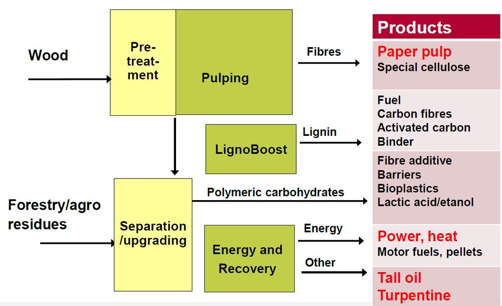 Das Zellstoffwerk als Bioraffinerie Pulping Lignin