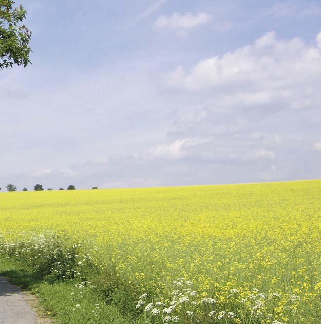 www.bmu.de/ ee-waerme schaft und Ausfuhrkontrolle (BAFA) zur Förderung erneuerbarer Energien; Antragsformulare für Förderanträge für das MAP sind verfügbar unter: http://www.bafa.