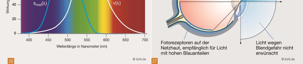 hellen Flächen im