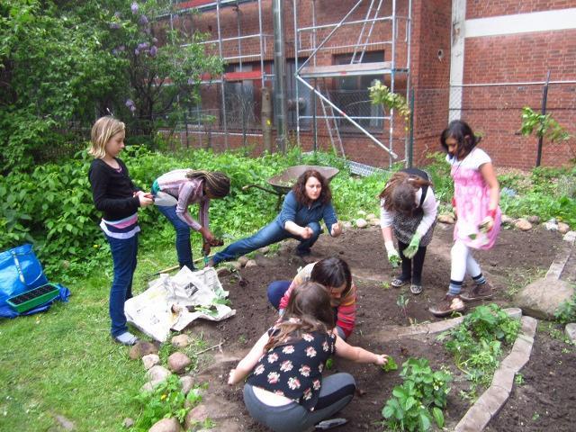 Inzwischen hat sich der große Erfolg unseres Gartenprojektes an den Schulen der Region herumgesprochen, so dass auch die LehrerInnen am Hauskoppelstieg das Gartenprojekt sehr gerne an ihre Schule