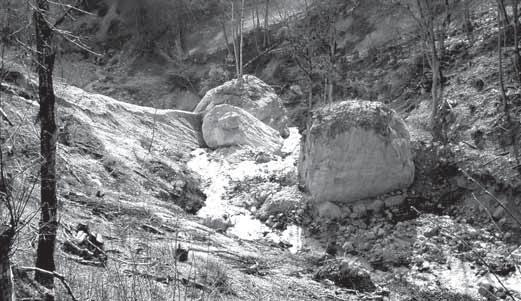 Spuren von Hochwasserereignissen im Gerinnebereich: Übergrosse Blöcke bei Wildbächen 1 Entlang eines steilen Wildbachgerinnes hat sich frisches Material angehäuft.