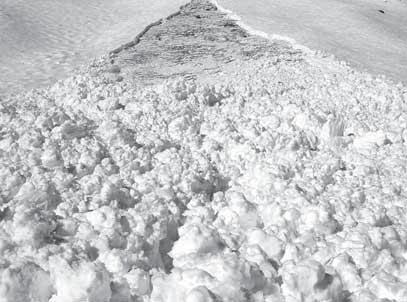 Spuren von Lawinen im Ablagerungsbereich: Art und Fremdmaterialfracht der Schneemasse 1 2 Die Ablagerung einer Lawine kann sehr unterschiedliche Rauigkeiten, Feuchtigkeiten und Fremdmaterialfrachten
