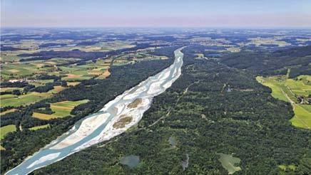 ANFORDERUNGEN AN EINE ECHTE AUE-RENATURIERUNG Dynamik: -Flussgebietsspezifisch