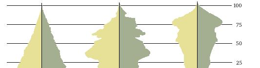 Ausblick - Alterspyramide für das Jahr 1910, 2000 und 2050 1910 2000 2050 Ø 45 Ø 48 Ø 76 Ø 81 Ø 84 Ø 88 Alter in Jahren Quelle: Statistisches Bundesamt Der Anteil der über 60-Jährigen wird von einem