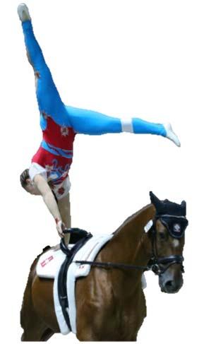 Voltigieren? Was ist das eigentlich? Beim Voltigieren werden turnerisch akrobatische Übungen auf einem galoppierenden Pferd ausgeführt.