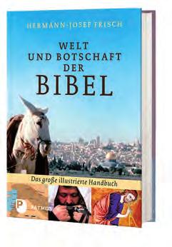 Es bietet reichhaltiges Sach- und Hintergrundwissen über Länder und Völker der Bibel, über wichtige Orte, das alltägliche Leben zur Zeit der Bibel, über Feste,