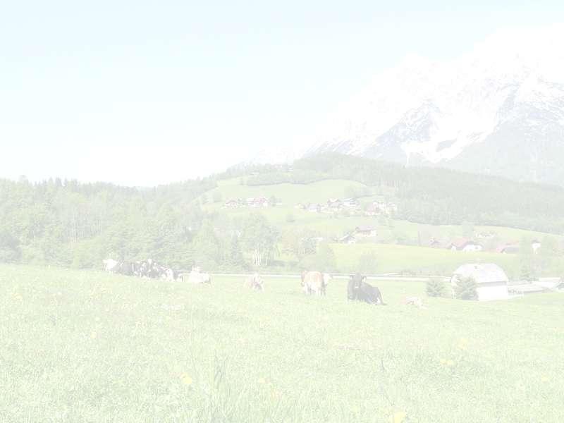 Rahmenbedingungen Österreich 1,8 Mio ha (54%) der landw. Nutzfläche = Dauergrünland 37% aller Bauern sind Bergbauern, über 56% im Nebenerwerb Mutterkuhquote national: 375.