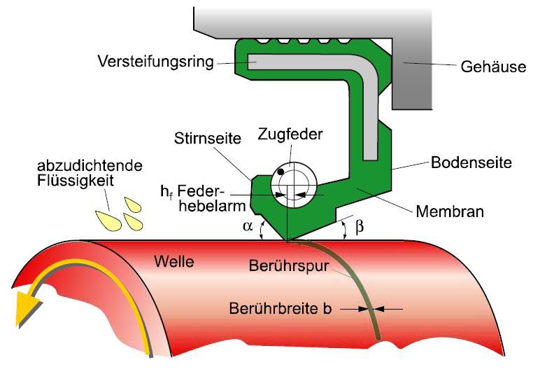 10.4.3 Dichtungen dynamische Dichtverbindung Radial-Wellendichtring Aufbau