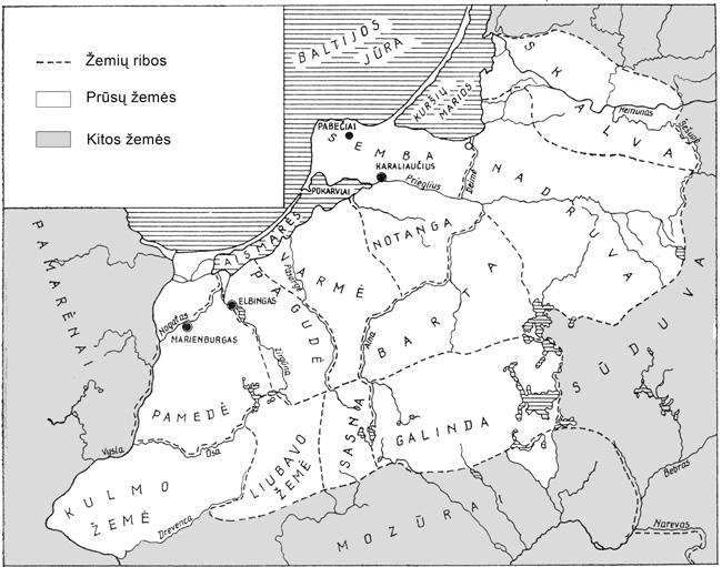 Prūsų tautos ir kalbos istorija 15 aiškintini gausūs prūsų kalbos paminkluose liudijami slavizmai (pvz., piwis alus < le. piwo, sweriapis eržilas < le. świerzop, karczemo smuklė < le. karczma etc.