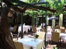 Und eine Prise Lebensgefühl aus dem Südburgenland. Wir bitten zu Tisch! Schattenspendend breitet der über 100 Jahre alte Weinstock sein romantischgrünes Blätterdach über den Gastgarten aus.