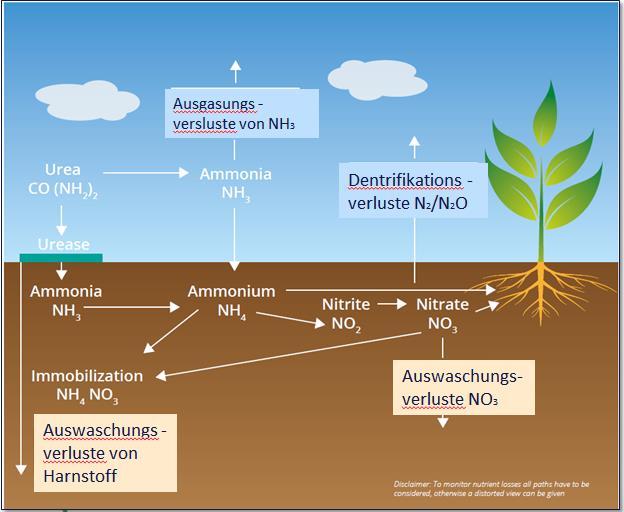 Ausgasungsverluste in die Atmosphäre Ausgasung tritt auf, wenn Harnstoff oder Ammonium oberflächlich auf Böden ausgebracht wird. Die Höhe der Ausgasung ist von Feuchtigkeit, Temp.