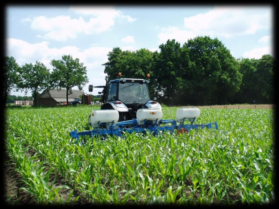 Präzise Ernährung / umhüllte Dünger Richtiges Düngeprodukt