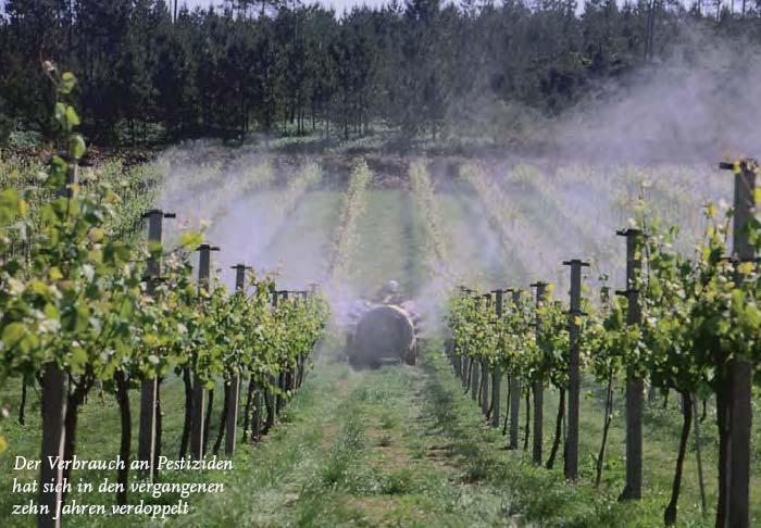 Pestizidanalytik in Wein - Überwachung der Einhaltung von