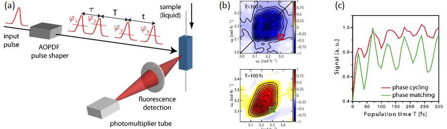 Physikalische und Theoretische Chemie Ultrafast Coherent Multidimensional Spectroscopy with Shot-to-Shot Scanning P46 S. Roeding 1, S. Draeger 1, T.