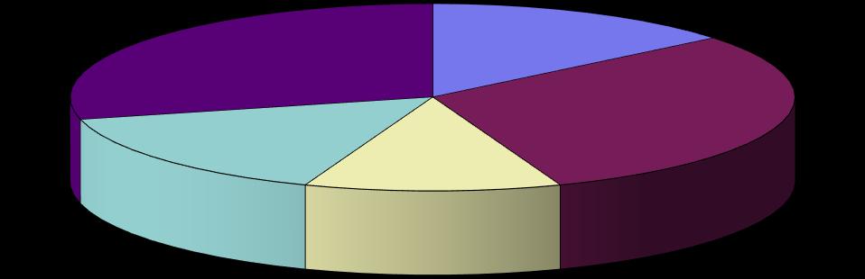 Strukturen in der Bullenmastauswertung Betriebsgröße