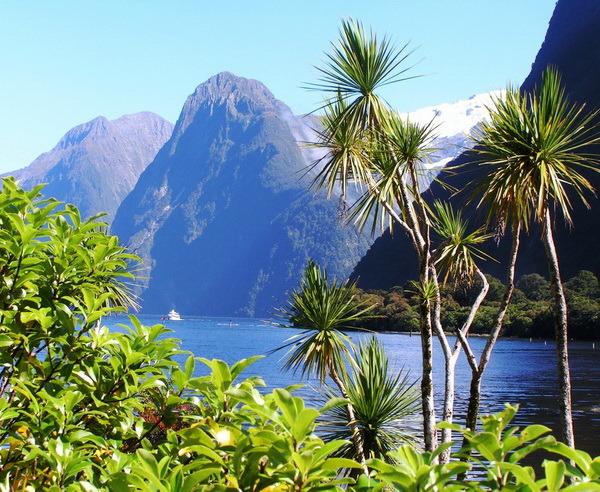Wir fahren zu den schönsten Nationalparks Neuseelands und widmen uns der Vielfalt an spektakulären Naturschönheiten in Neuseeland.